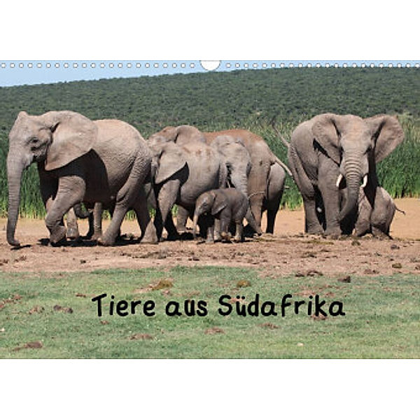 Tiere aus Südafrika (Wandkalender 2022 DIN A3 quer), W. Brüchle