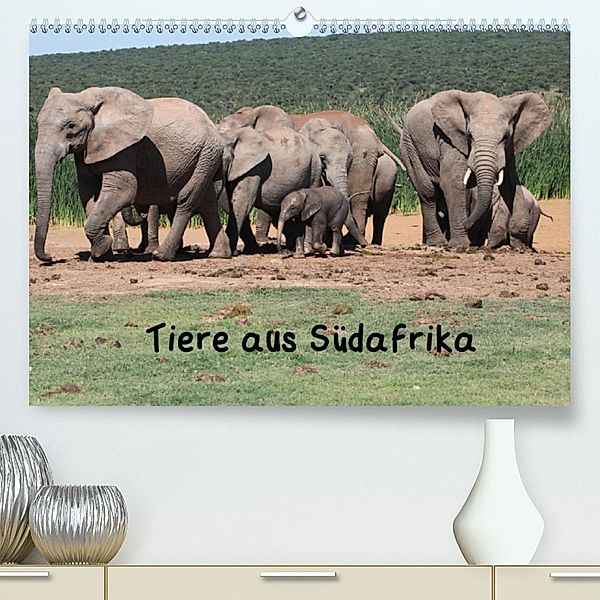 Tiere aus Südafrika(Premium, hochwertiger DIN A2 Wandkalender 2020, Kunstdruck in Hochglanz), W. Brüchle