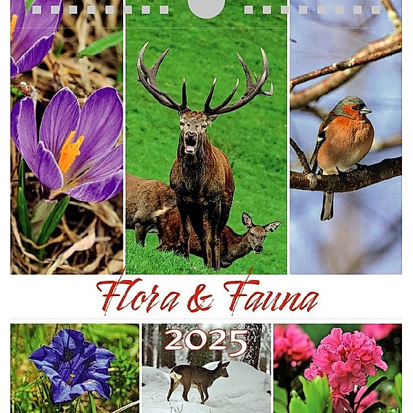 Tiere Blumen 2025, Postkartenkalender Querformat