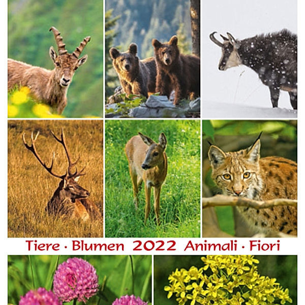 Tiere Blumen / Animali Fiori 2022, Postkartenkalender, Peter Malfertheiner