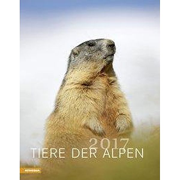 Tiere der Alpen 2017