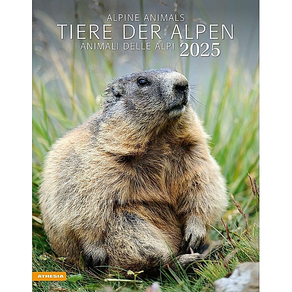 Tiere der Alpen - Kalender 2025