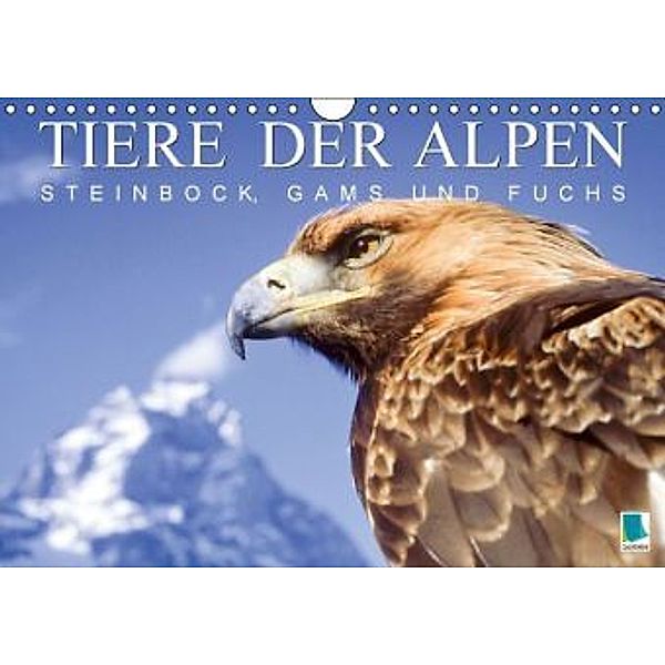Tiere der Alpen (Wandkalender 2016 DIN A4 quer), Calvendo