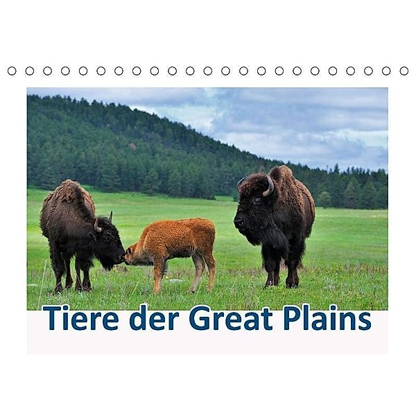 Tiere der Great Plains (Tischkalender 2017 DIN A5 quer), Dieter-M. Wilczek