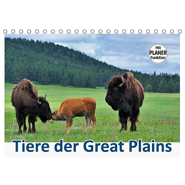 Tiere der Great Plains (Tischkalender 2019 DIN A5 quer), Dieter-M. Wilczek