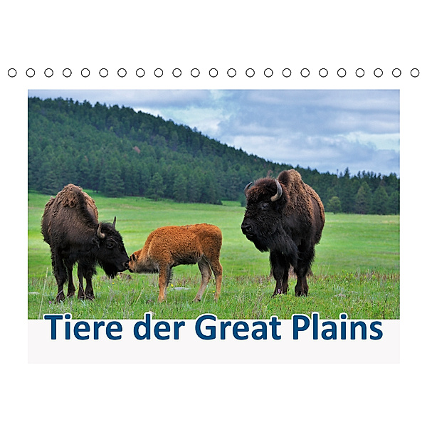 Tiere der Great Plains (Tischkalender 2019 DIN A5 quer), Dieter-M. Wilczek