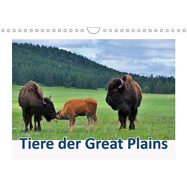 Tiere der Great Plains (Wandkalender 2021 DIN A4 quer), Dieter-M. Wilczek