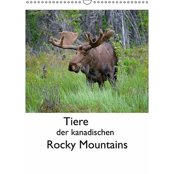 Tiere der kanadischen Rocky Mountains (Wandkalender 2016 DIN A3 hoch), Dieter-M. Wilczek