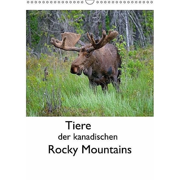 Tiere der kanadischen Rocky Mountains (Wandkalender 2017 DIN A3 hoch), Dieter-M. Wilczek