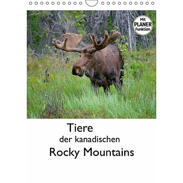 Tiere der kanadischen Rocky Mountains (Wandkalender 2017 DIN A4 hoch), Dieter-M. Wilczek
