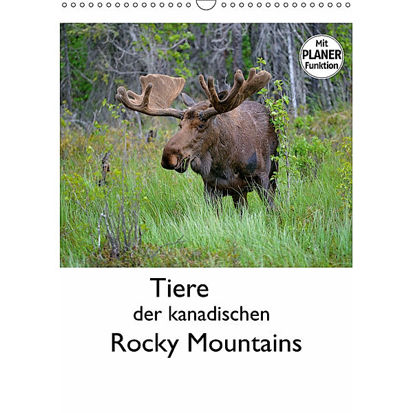 Tiere der kanadischen Rocky Mountains (Wandkalender 2019 DIN A3 hoch), Dieter-M. Wilczek