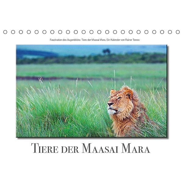 Tiere der Maasai Mara (Tischkalender 2023 DIN A5 quer), Rainer Tewes