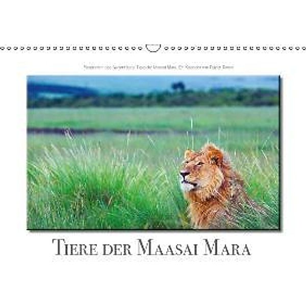 Tiere der Maasai Mara (Wandkalender 2015 DIN A3 quer), Rainer Tewes