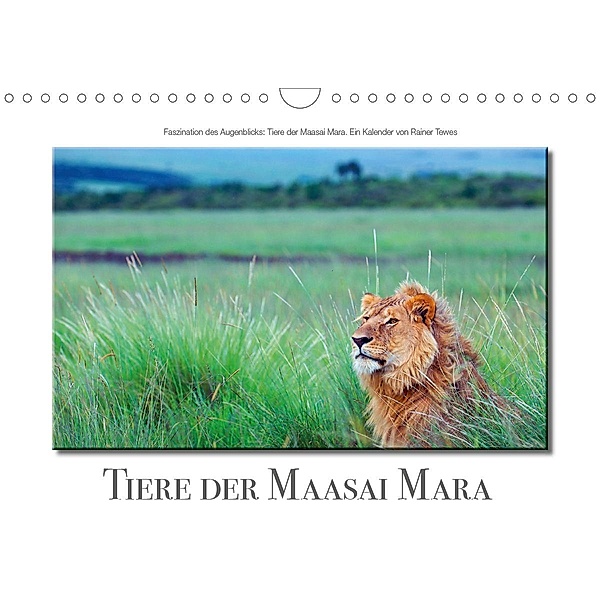 Tiere der Maasai Mara (Wandkalender 2021 DIN A4 quer), Rainer Tewes