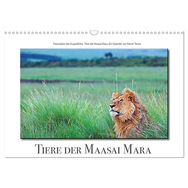 Tiere der Maasai Mara (Wandkalender 2024 DIN A3 quer), CALVENDO Monatskalender, Rainer Tewes