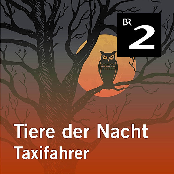 Tiere der Nacht - 3 - Tiere der Nacht: Taxifahrer, Silke Wolfrum