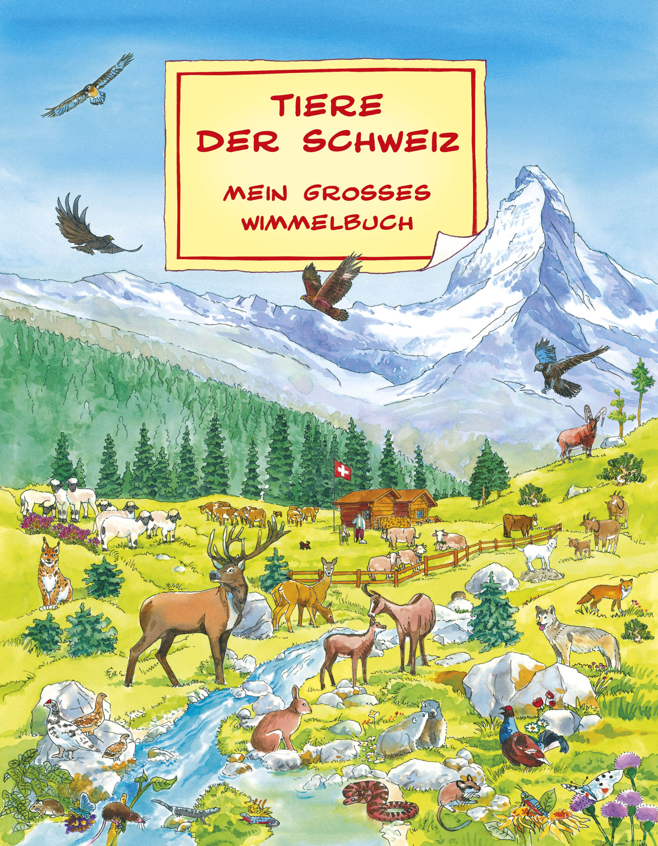 Tiere der Schweiz - Mein grosses Wimmelbuch Buch versandkostenfrei bei  Weltbild.at bestellen