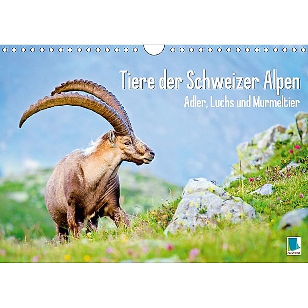 Tiere der Schweizer Alpen (Wandkalender 2018 DIN A4 quer), Calvendo