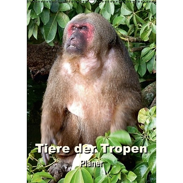 Tiere der Tropen / Planer (Wandkalender 2015 DIN A2 hoch), Rudolf Blank