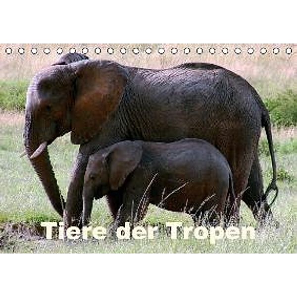 Tiere der Tropen (Tischkalender 2016 DIN A5 quer), Rudolf Blank