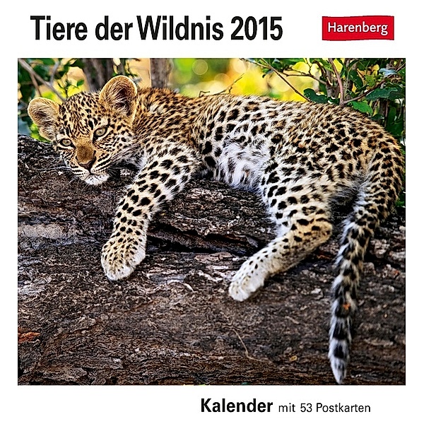 Tiere der Wildnis Postkartenkalender 2015