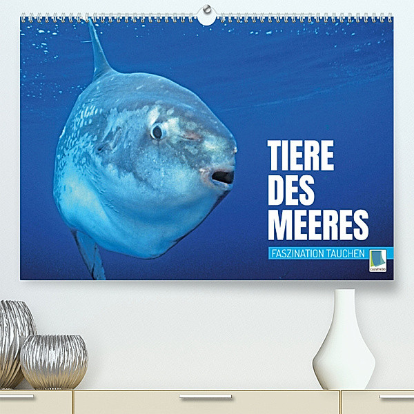 Tiere des Meeres: Faszination Tauchen (Premium, hochwertiger DIN A2 Wandkalender 2023, Kunstdruck in Hochglanz), Calvendo