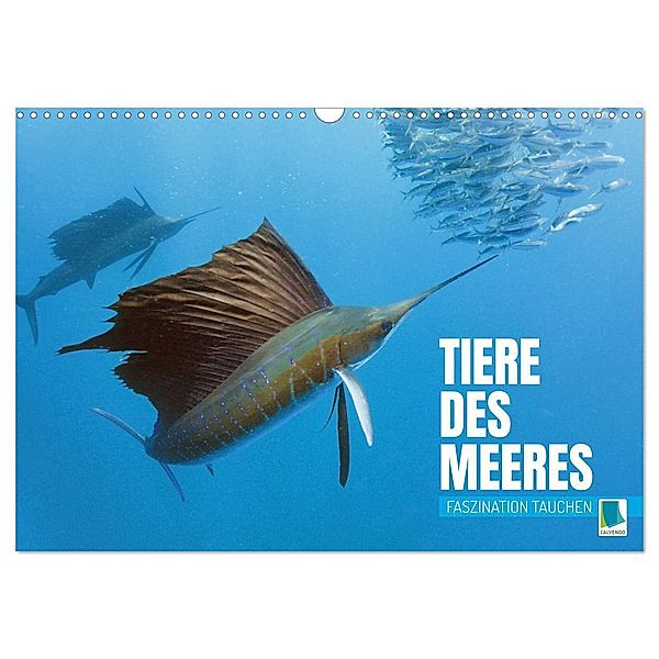 Tiere des Meeres: Faszination Tauchen (Wandkalender 2024 DIN A3 quer), CALVENDO Monatskalender, Calvendo