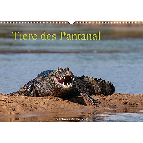 Tiere des Pantanal (Wandkalender 2018 DIN A3 quer), Jürgen Wöhlke