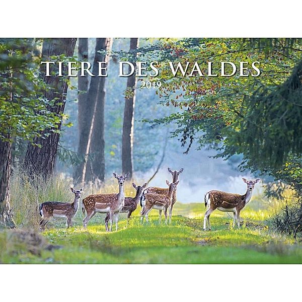 Tiere des Waldes 2019, ALPHA EDITION