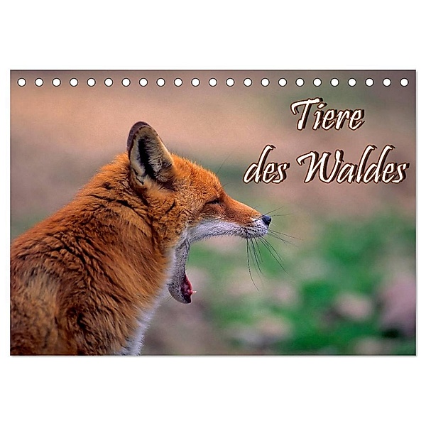 Tiere des Waldes (Tischkalender 2024 DIN A5 quer), CALVENDO Monatskalender, Bildagentur Geduldig