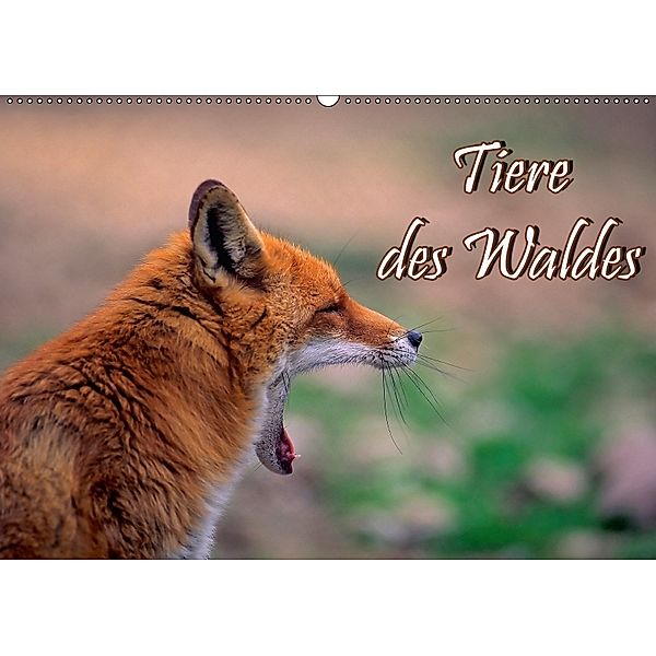 Tiere des Waldes (Wandkalender 2018 DIN A2 quer), Bildagentur Geduldig