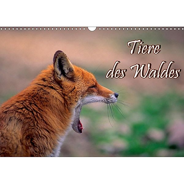 Tiere des Waldes (Wandkalender 2021 DIN A3 quer), Bildagentur Geduldig