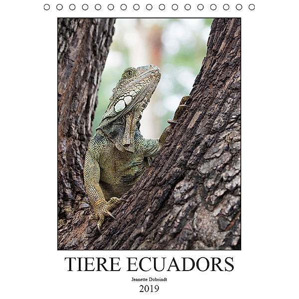 Tiere Ecuadors (Tischkalender 2019 DIN A5 hoch), Jeanette Dobrindt