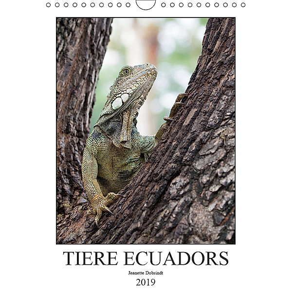 Tiere Ecuadors (Wandkalender 2019 DIN A4 hoch), Jeanette Dobrindt