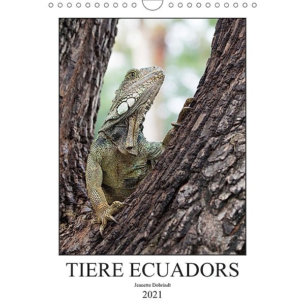 Tiere Ecuadors (Wandkalender 2021 DIN A4 hoch), Jeanette Dobrindt