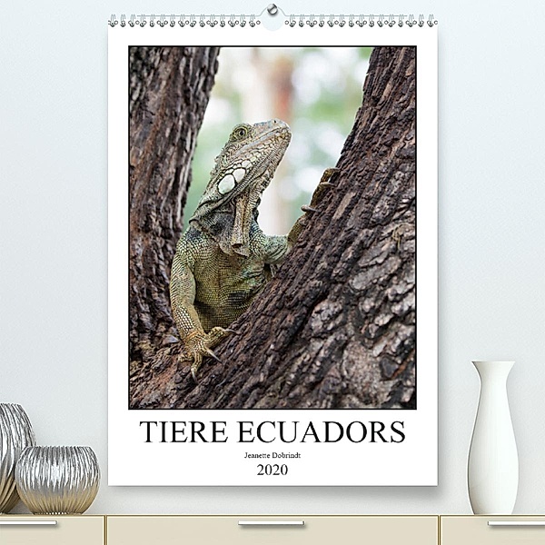 Tiere Ecuadors(Premium, hochwertiger DIN A2 Wandkalender 2020, Kunstdruck in Hochglanz), Jeanette Dobrindt