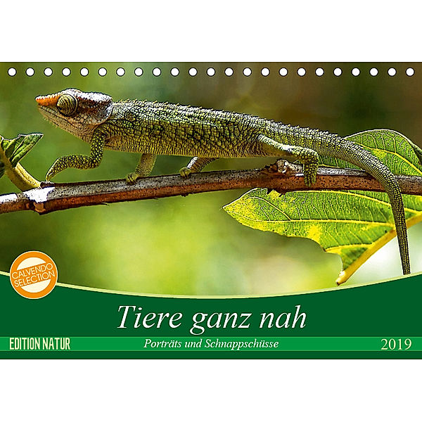 Tiere ganz nah - Porträts und Schnappschüsse (Tischkalender 2019 DIN A5 quer), Oliver Gärtner