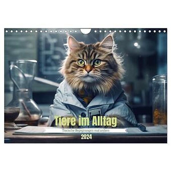 Tiere im Alltag (Wandkalender 2024 DIN A4 quer), CALVENDO Monatskalender, Tim Schmidt