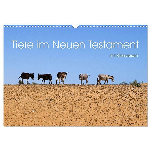 Tiere im Neuen Testament mit Bibelversen (Wandkalender 2024 DIN A3 quer), CALVENDO Monatskalender, Hans-Georg Vorndran