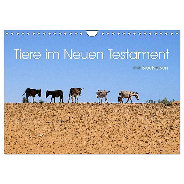 Tiere im Neuen Testament mit Bibelversen (Wandkalender 2024 DIN A4 quer), CALVENDO Monatskalender, Hans-Georg Vorndran