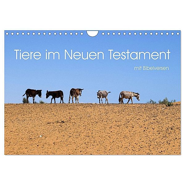 Tiere im Neuen Testament mit Bibelversen (Wandkalender 2025 DIN A4 quer), CALVENDO Monatskalender, Calvendo, Hans-Georg Vorndran