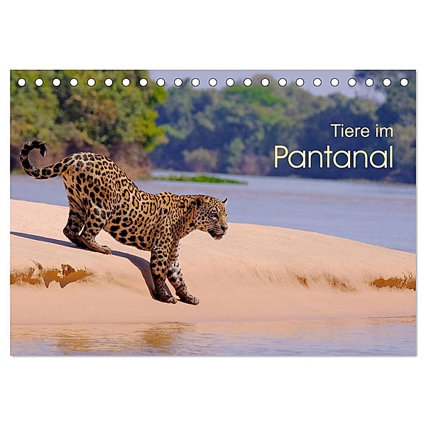 Tiere im Pantanal - viaje.ch (Tischkalender 2024 DIN A5 quer), CALVENDO Monatskalender, © viaje.ch