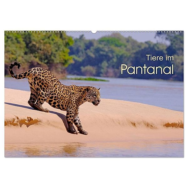 Tiere im Pantanal - viaje.ch (Wandkalender 2024 DIN A2 quer), CALVENDO Monatskalender, © viaje.ch