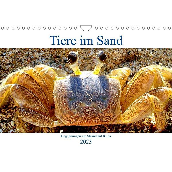 Tiere im Sand - Begegnungen am Strand auf Kuba (Wandkalender 2023 DIN A4 quer), Henning von Löwis of Menar, Henning von Löwis of Menar