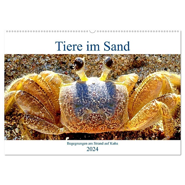 Tiere im Sand - Begegnungen am Strand auf Kuba (Wandkalender 2024 DIN A2 quer), CALVENDO Monatskalender, Henning von Löwis of Menar