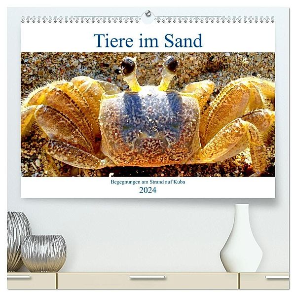 Tiere im Sand - Begegnungen am Strand auf Kuba (hochwertiger Premium Wandkalender 2024 DIN A2 quer), Kunstdruck in Hochglanz, Henning von Löwis of Menar