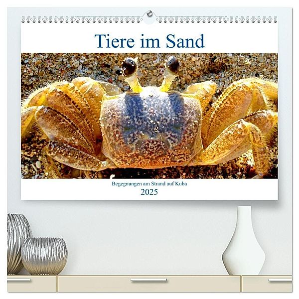 Tiere im Sand - Begegnungen am Strand auf Kuba (hochwertiger Premium Wandkalender 2025 DIN A2 quer), Kunstdruck in Hochglanz, Calvendo, Henning von Löwis of Menar