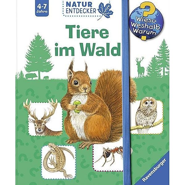 Tiere im Wald / Wieso? Weshalb? Warum? Natur-Entdecker Bd.7, Daniela Prusse, Christine Henkel