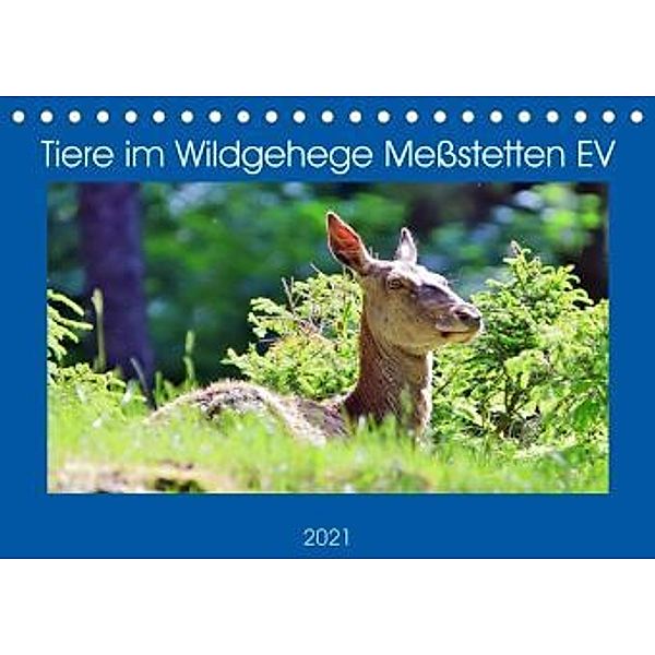 Tiere im Wildgehege Meßstetten EV (Tischkalender 2021 DIN A5 quer), N N