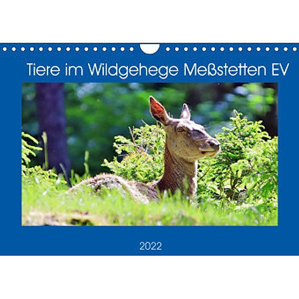 Tiere im Wildgehege Meßstetten EV (Wandkalender 2022 DIN A4 quer), N N